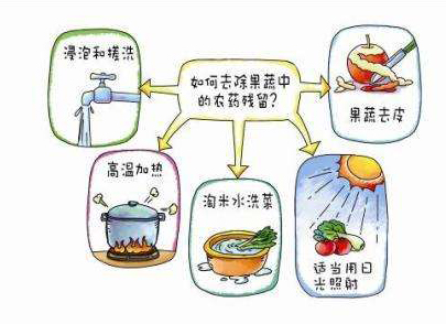 如何減少農(nóng)藥污染去除農(nóng)藥殘留？振華化工總結(jié)以下幾點分享給大家